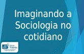 Imaginando a Sociologia no cotidiano - 101 (2014)