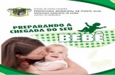 Prefeitura do municipio de ponte alta revista preparando a chegada do bebe online