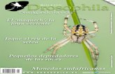 Boletín Drosophila N15