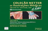 Coleção Netter Ilustrações Médicas Musculoesquelético Parte I