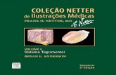 Coleção Netter de Ilustrações Médicas Sistema Tegumetar 2° Edição