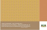 Informe Setorial - Agricultura, Pecuária e Desenvolvimento Rural