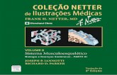 Coleção Netter Ilustrações Médicas Musculoesquelético Parte III 2° Edição