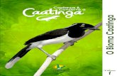 Conheça e Conserve a Caatinga vol. 1 - O Bioma Caatinga