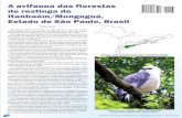 Aves das florestas de restinga de Itanhaém/Mongaguá-SP