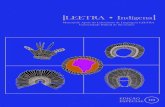 Caderno de Apoio ao Professor LEETRA - Edição Especial 10