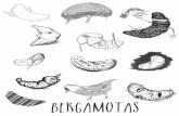 Bergamotas #1