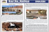 Jornal barão online edição 054