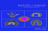 Caderno de Apoio ao Professor LEETRA - Edição Especial 14