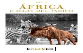 África e Islas del Índico V.15