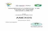 Diagnóstico Forestal de Loreto: Anexos