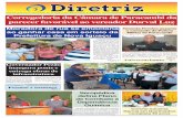 Jornal Diretriz - Edição 250