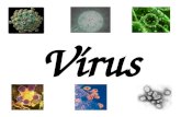 Microbiologia - Vírus.ppt