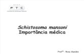 085840_Schistosoma mansoni