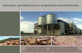 Brasil Biomassa e Energia Renovável_e-book