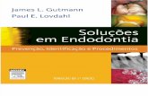 Soluções Em Endodontia Guttman 5 Ed