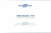 Modulo10 - Curso IPGN Sebrae
