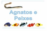 Agnatos e Peixes.pdf