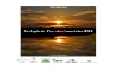 Curso de campo ecologia da Amazonia 2011