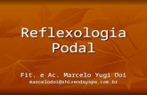 176062978 Reflexoterapia Podal Prof Marcelo Doi