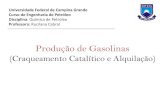 Produção de Gasolinas (Craqueamento e Alquilação).pdf