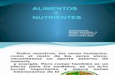 ALIMENTOS Y NUTRIENTES.pptx