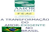1-A Transformação Do AE No Brasil