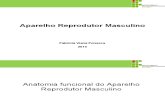 Reprodução Masculina 2015 anatofiologia