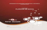 M02 Florais de Bach