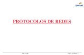 Prot RedesTRC 1NA C1 Introducao v15.pdf