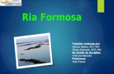 Ria Formosa Trabalho