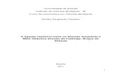 2011 Cardoso - A Ligação Histórica Entre Amazônia e Mata Atlântica