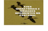Aves Migratórias e Nômades No Pantanal