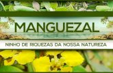 manguezal apresentaçaoManguezal