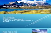 Ríos de La Patagonia