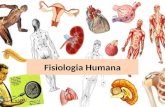 Fisiologia Humana Sistema Digestório