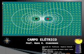 Campo Eletrico Fsc1075