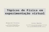 Tópicos de Física em experimentação virtual Suzana Nápoles Dep de Matemática, Faculdade de Ciências, Universidade de Lisboa (UL), PORTUGAL Public Awareness.