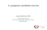 S. pyogenes candidate vaccine Luiza Guilherme, PhD Heart Institute (InCor) University of São Paulo, São Paulo, Brazil luizagui@usp.br.