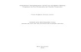 TCC IEC - Teoria Das Restrições Em Processo de Inspeção Veicular (Soares Júnior, 2014) - 14 de Setembro de 2014