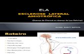 Esclerose Lateral Amiotrofica Nan