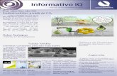 Informativo IQ - Dezembro 2014