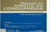 DIREITO DO CONSUMIDOR - FELIPE PEIXOTO - 2013.pdf