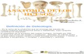 ANATOMIA Y FISIOLOGIA DE LOS HUESOS. OPAL H Y DANIELA L..pdf