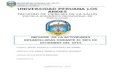 informe Nº 11 UPLA.docx