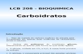 carboidratoS lcb208