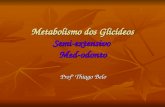 Metabolismo dos Glicídeos Semi-extensivo Med-odonto Profº Thiago Belo.