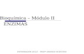 ENZIMAS E NFERMAGEM 2012/1 – P ROFª A MANDA V ICENTINO Bioquímica – Módulo II.