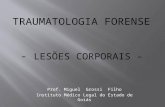 Prof. Miguel Grossi Filho Instituto Médico Legal do Estado de Goiás.
