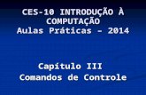 CES-10 INTRODUÇÃO À COMPUTAÇÃO Aulas Práticas – 2014 Capítulo III Comandos de Controle.